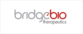 bridgebio therapeutics